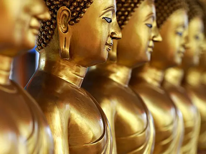 Yogapraktijk Yoganique — yoga-studio in Bussum — 4