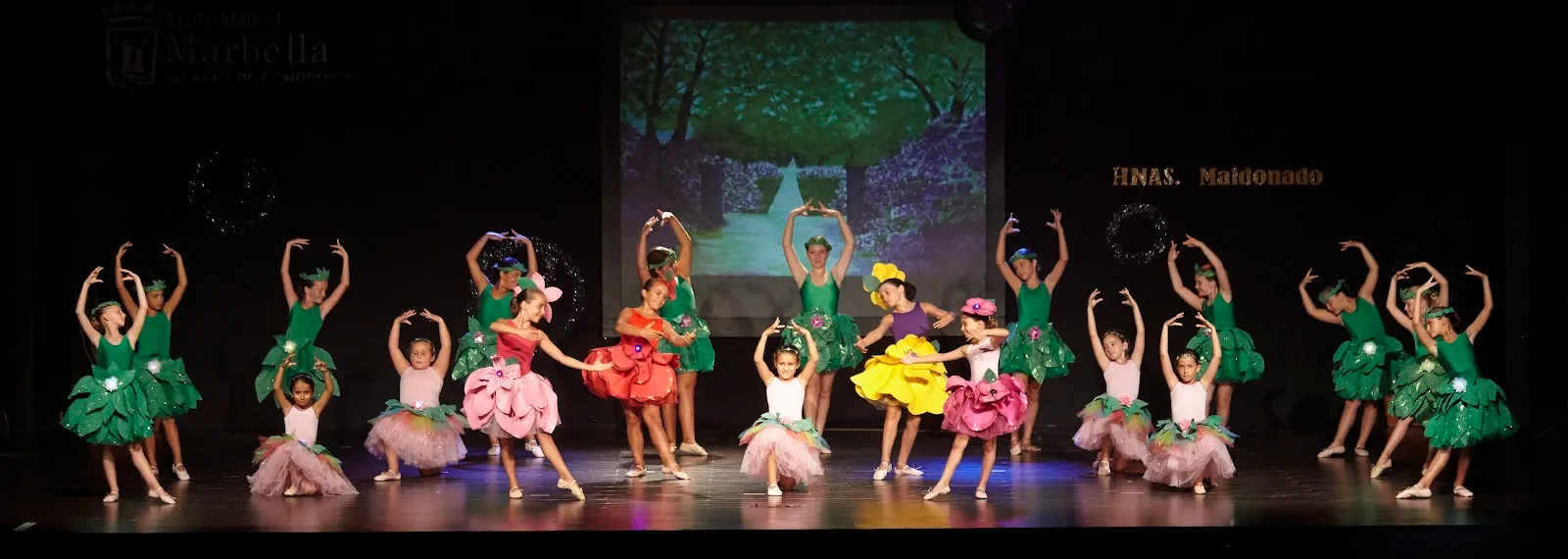 Academia de Baile Hermanas Maldonado — baile-studio en Casco antiguo, Marbella — 2