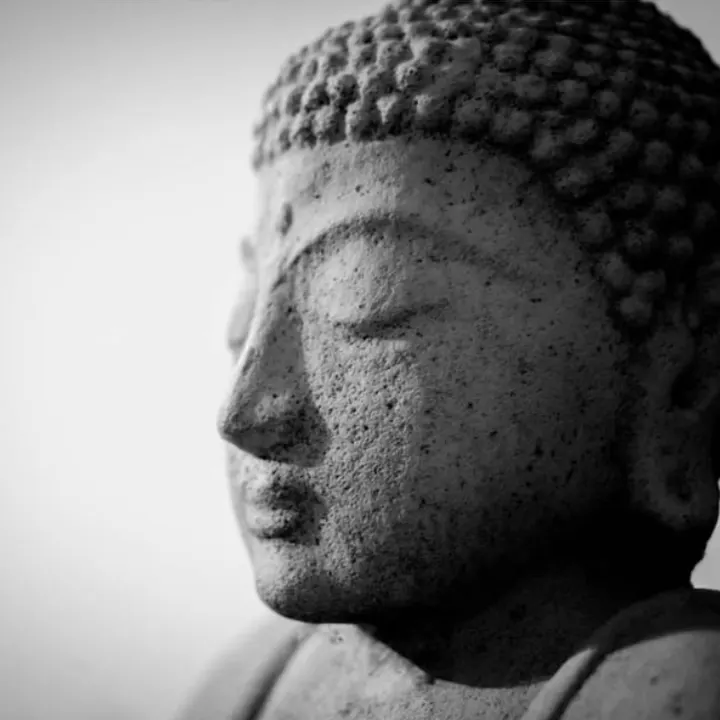 HOME CARE - Schmerztherapie, Alltagsbegleitung, YogaMindset Coaching — yoga-studio in Mannheim — 5