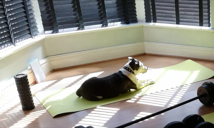 Nuyu Health Morecambe — fitness studio in Morecambe — 4