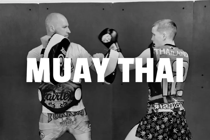 Great Danes Fight Club — kampsport-studio i Odense — 3