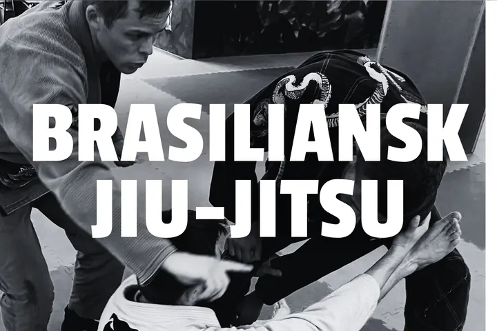 Great Danes Fight Club — kampsport-studio i Odense — 4