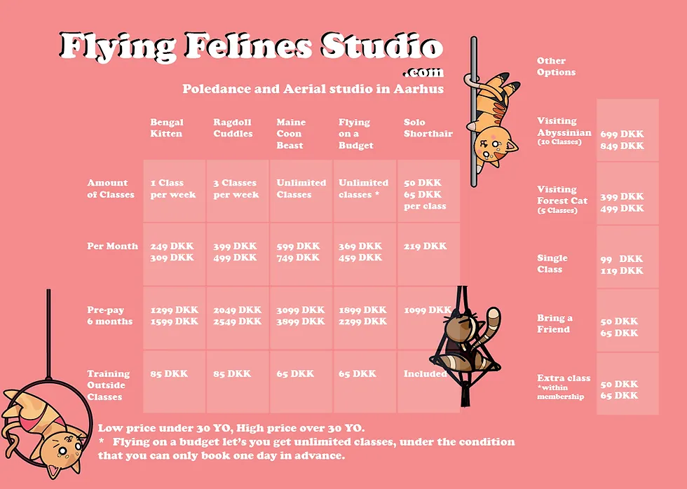Flying Felines Studio — pole fitness-studio i Aarhus — 3