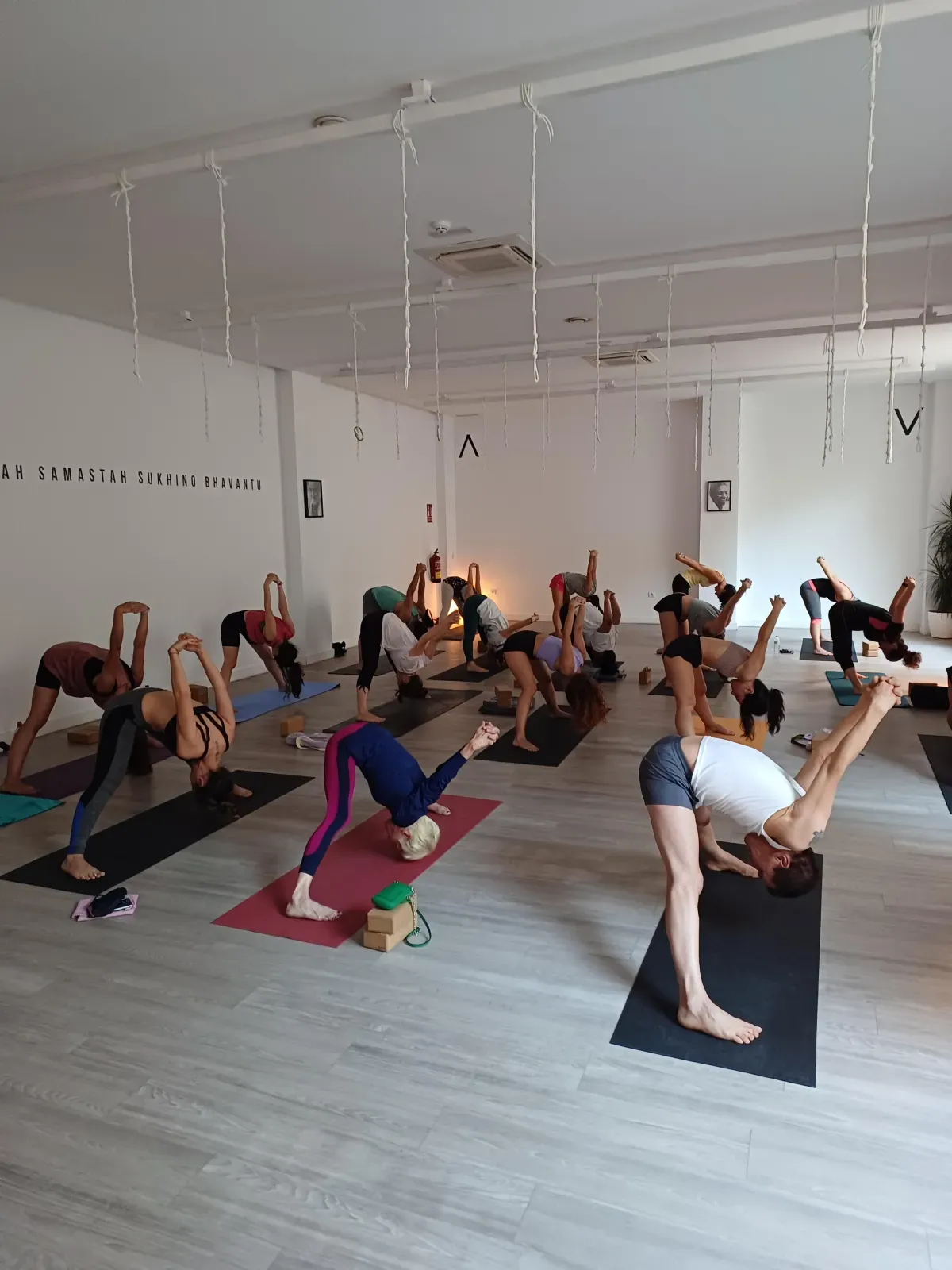 MERY YOGA. La Shalita — yoga-studio i Nuevo Bercial, Getafe — bild 2