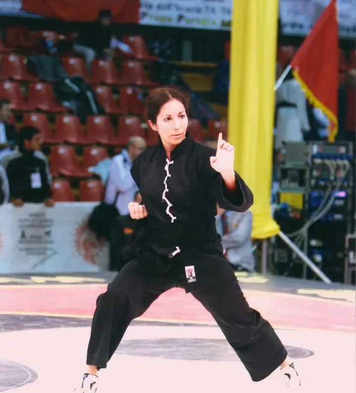Kung Fu Hung Gar lignée Chan Hon-Chung — arts martiaux-studio à Villeurbanne — 3