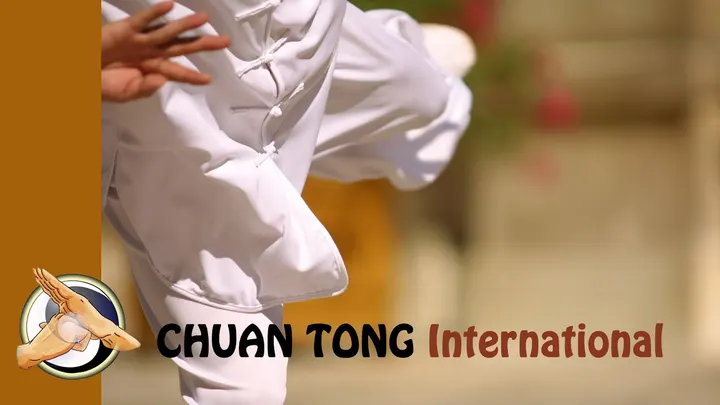 Chuan Tong International Lyon 8e Arrondissement — Arts martiaux à Lyon 8e Arrondissement, Lyon
