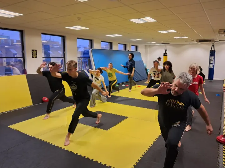 Capoeira 4 Scotland — Martial Arts in West End, Glasgow