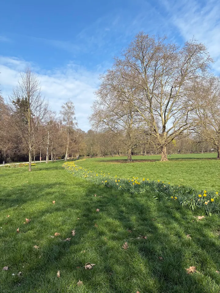 Original Bootcamp - Outdoor Fitness | Grüneburgpark — CrossFit in Westend Nord, Frankfurt am Main