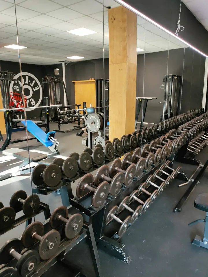 El-Loco Gym — fitnessstudio in Alzey — 2