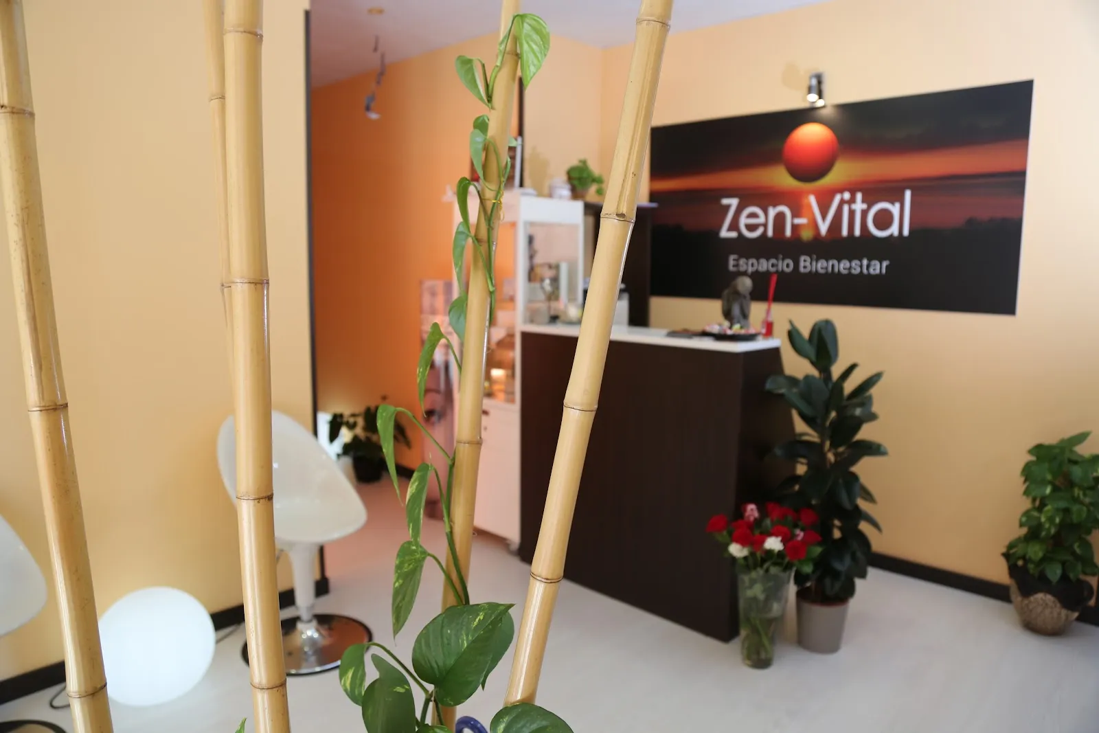 Zen Vital — pilates-studio en Las Luminarias, Santa Marta de Tormes — 3