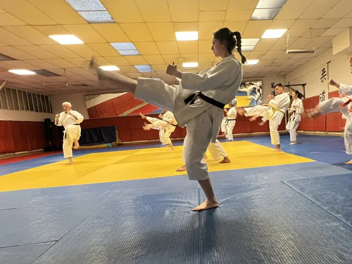 Academie Narbonnaise de Karate — arts martiaux-studio à Pastouret, Narbonne — 2