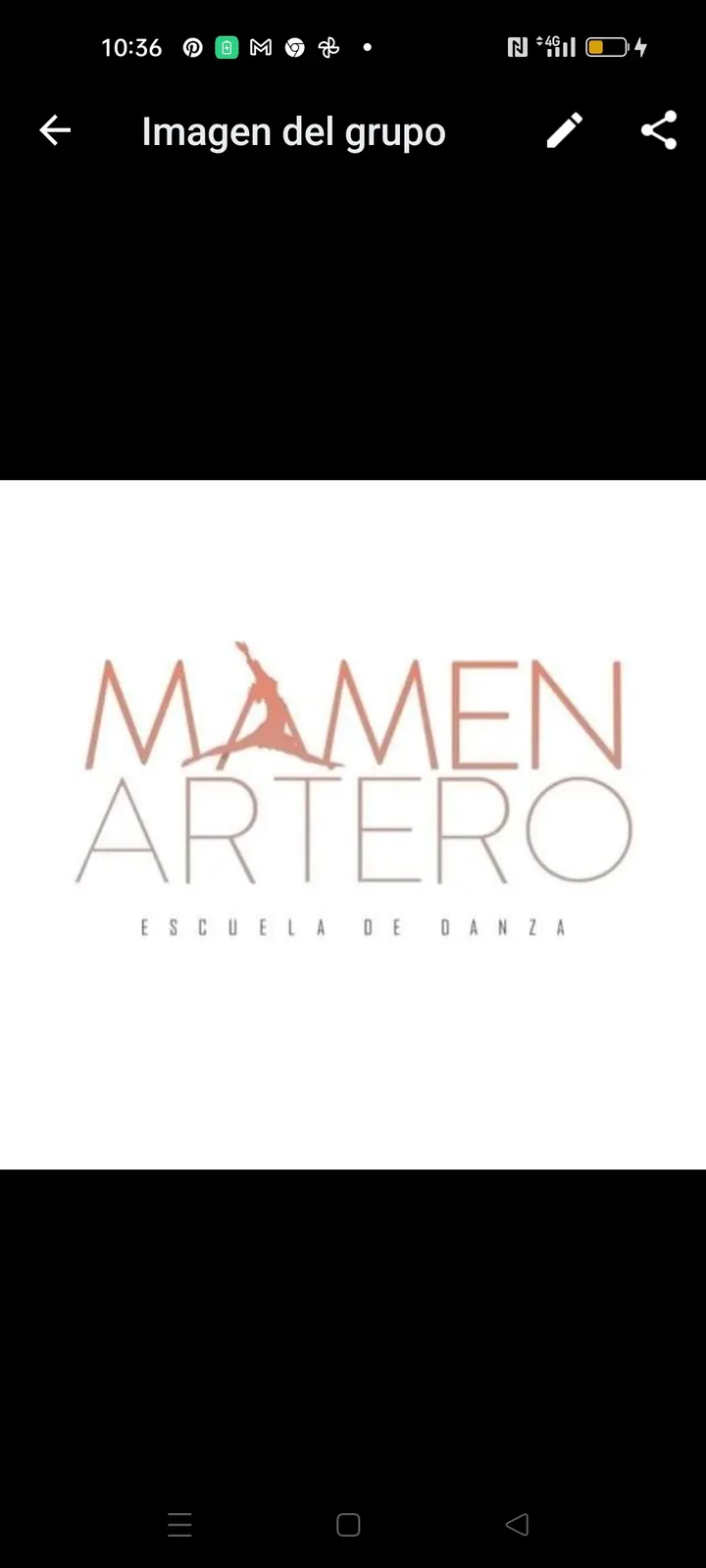 Escuela De Danza Mamen Artero — baile-studio en Murcia — 3