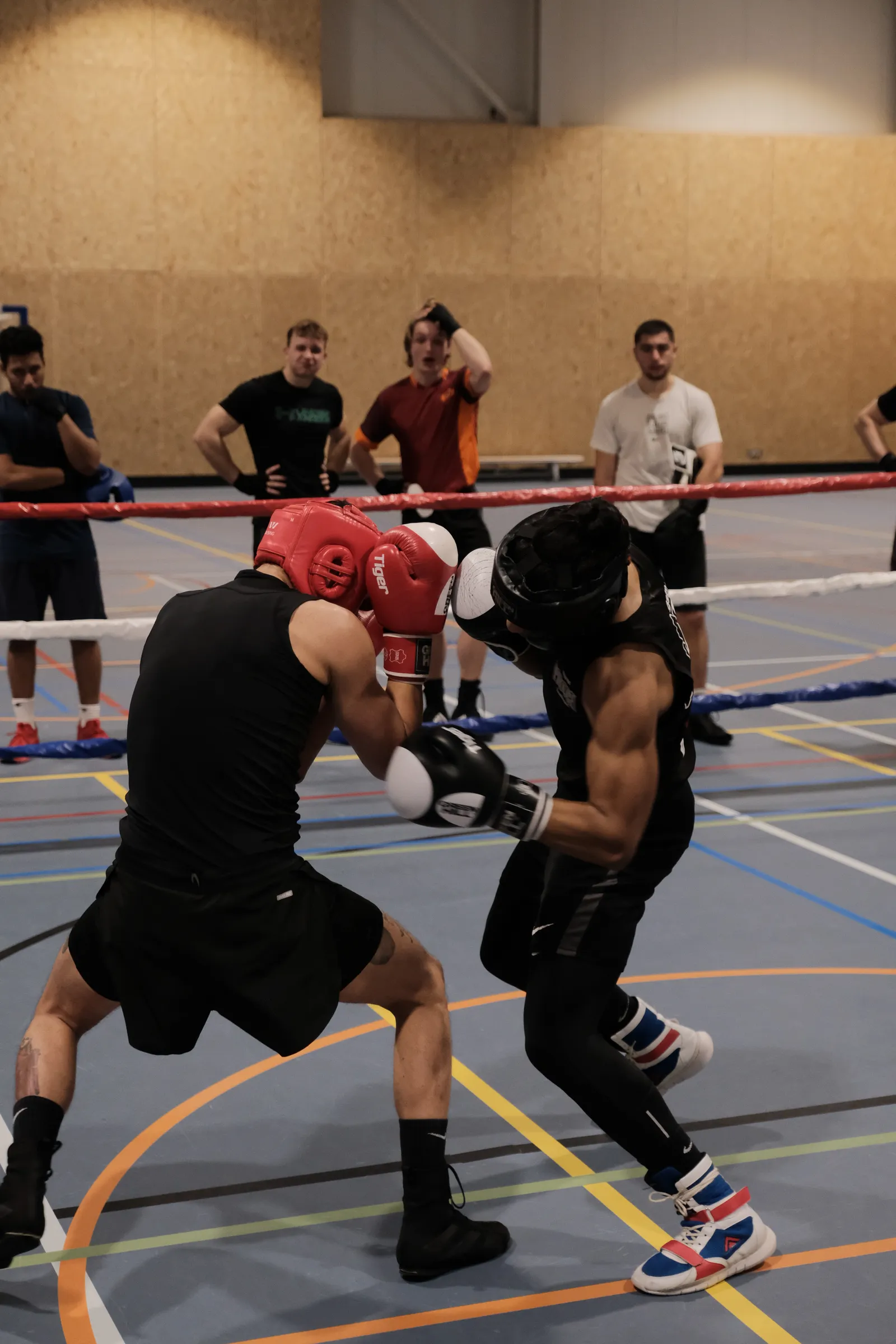 R.S.B.V. Erasmus Boxing — vechtsport-studio in Rotterdam — 5