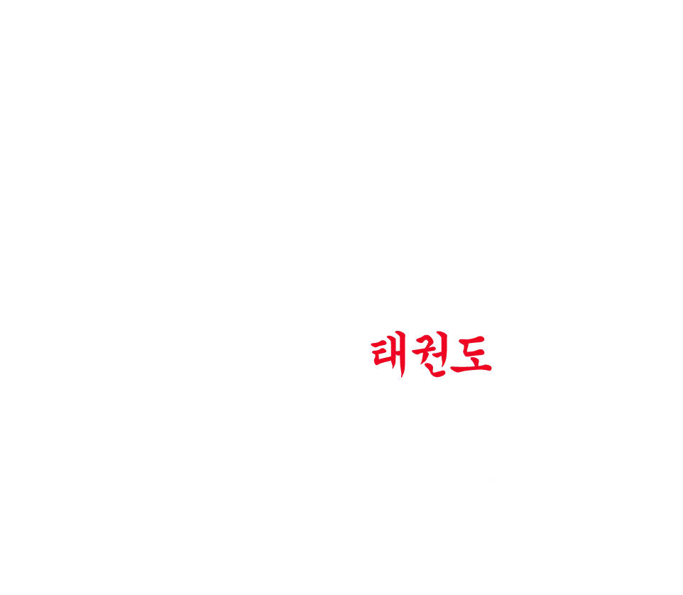 Lund Taekwondo Academy — kampsport-studio i Lund — bild 5