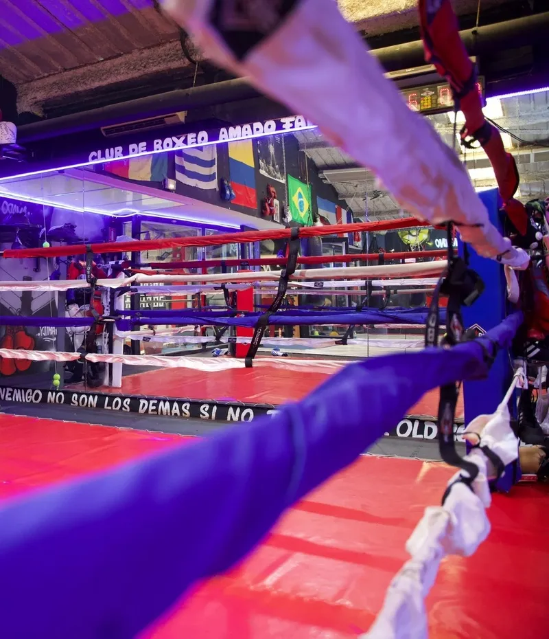 Club Boxeo amado family — artes marciales-studio en la Petxina, Valencia — 3
