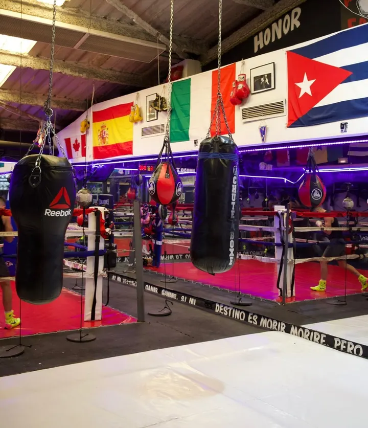Club Boxeo amado family — Martial Arts en la Petxina, Valencia