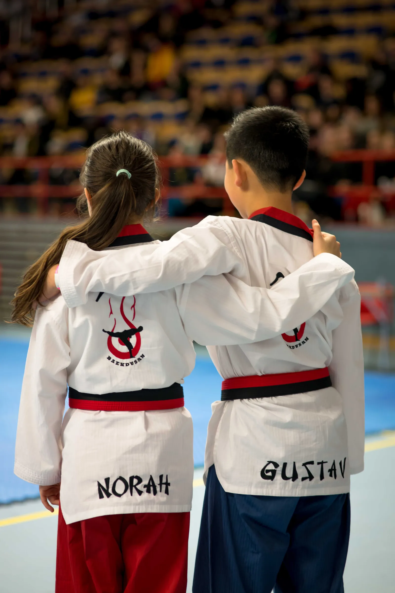 Örestad Baekdusan Taekwondo Klubb — kampsport-studio i Lomma — 4