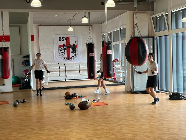 Box-Sport-Vereinigung Freiburg e.V. — Boxen in Brühl, Freiburg im Breisgau