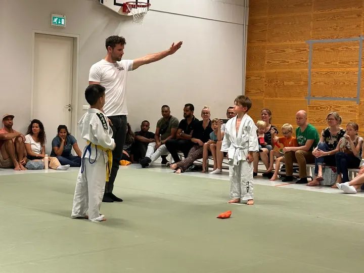 Judoclub Ypenburg — vechtsport-studio in Leidschenveen-Ypenburg, Den Haag — 2