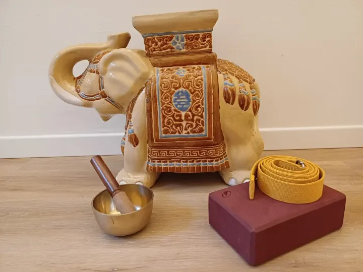 Nereide Yoga Milano — yoga-studio a Guastalla, Milano — 2