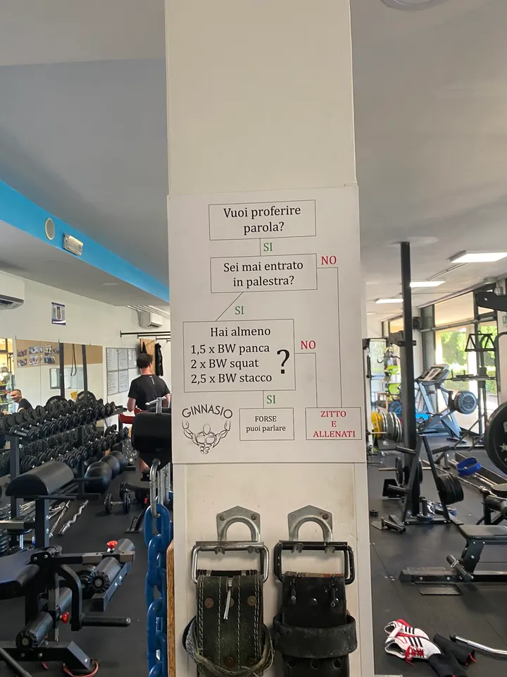 Palestra Ginnasio — palestre-studio a Montemurlo — 3