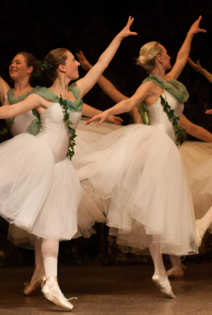 Ballettstudio Dalir — Tanz in Moischt, Marburg