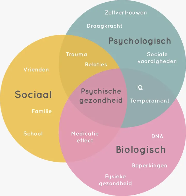 Van Heezik Training — Functionele training in Zuidoost, Amsterdam