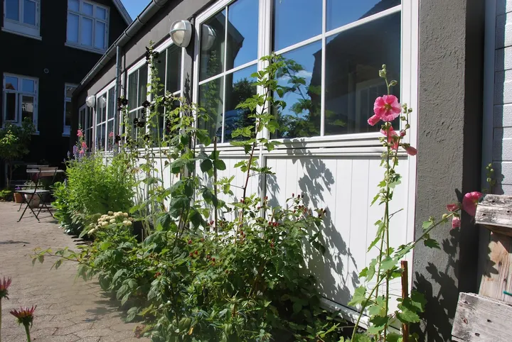Yoga ved Mitzi Persson — yoga-studio i Odense C — 3