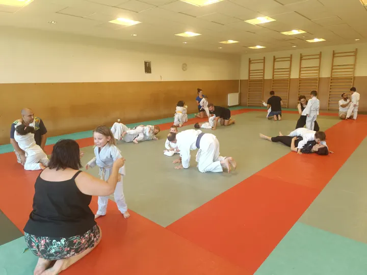 Judo Aussonne Bushido — arts martiaux-studio à Aussonne, Toulouse — 2