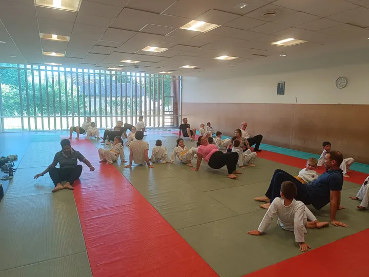 Judo Aussonne Bushido — arts martiaux-studio à Aussonne, Toulouse — 3