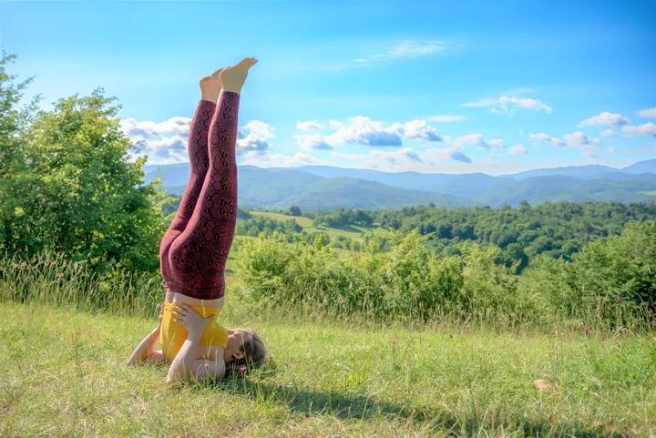 Akademie für traditionelles Yoga — Yoga in Vauban, Freiburg im Breisgau