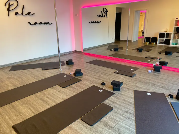 Pole Room / Poledance — pole fitness-studio in Herxheim bei Landau/Pfalz — 3