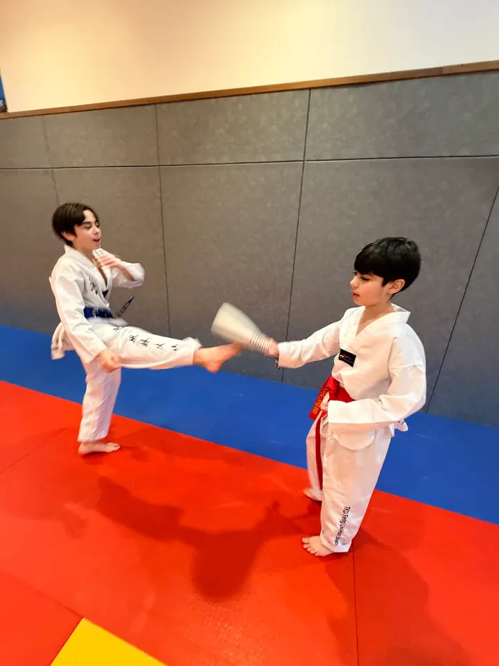 Taekwondo Club Feng Lin Huo Shan — arts martiaux-studio à Paris 12e Arrondissement, Paris — 2