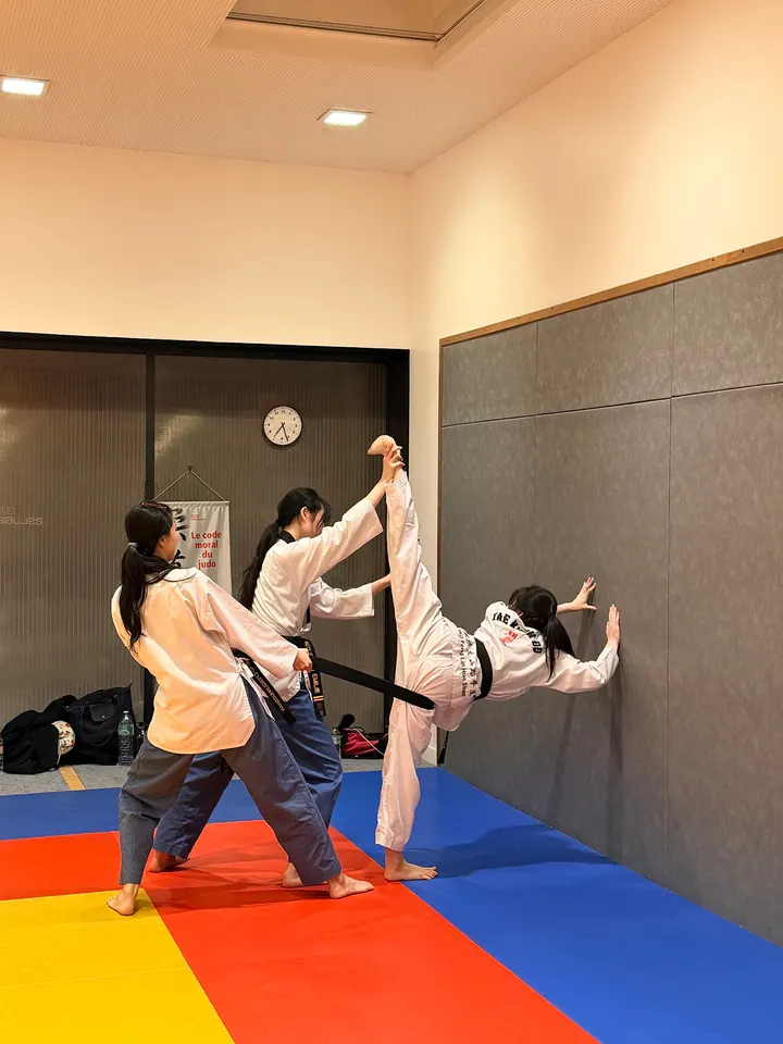 Taekwondo Club Feng Lin Huo Shan — arts martiaux-studio à Paris 12e Arrondissement, Paris — 3