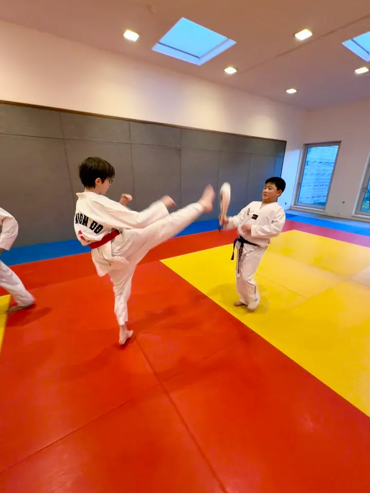 Taekwondo Club Feng Lin Huo Shan — arts martiaux-studio à Paris — 3