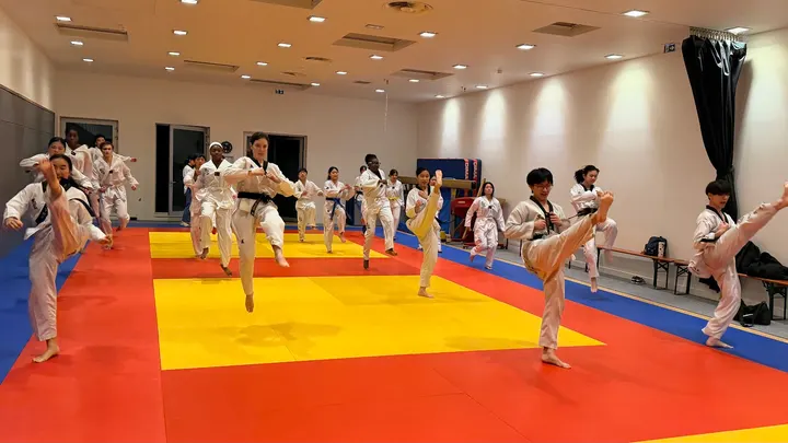 Taekwondo Club Feng Lin Huo Shan — arts martiaux-studio à Paris — 4