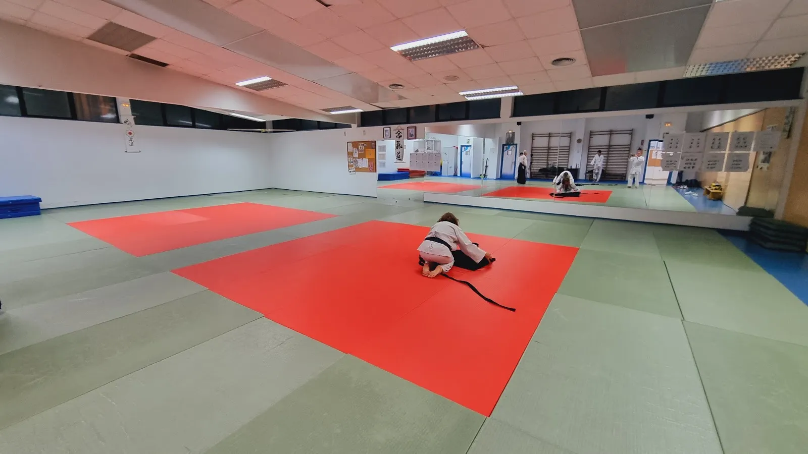 Asociación Cultural Aikido Guadarrama — artes marciales-studio en Guadarrama — 3