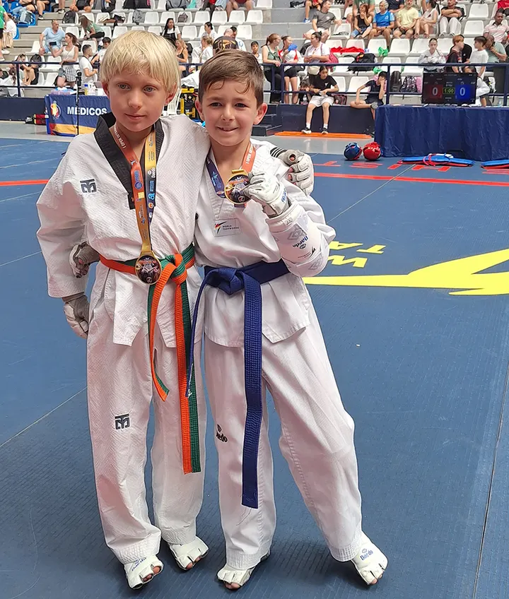 Federación Navarra de Taekwondo — Artes marciales en Milagrosa-Arrosadia, Pamplona