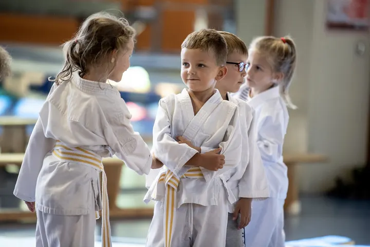 Judo Club de Déville-lès-Rouen — arts martiaux-studio à Déville-lès-Rouen — 5