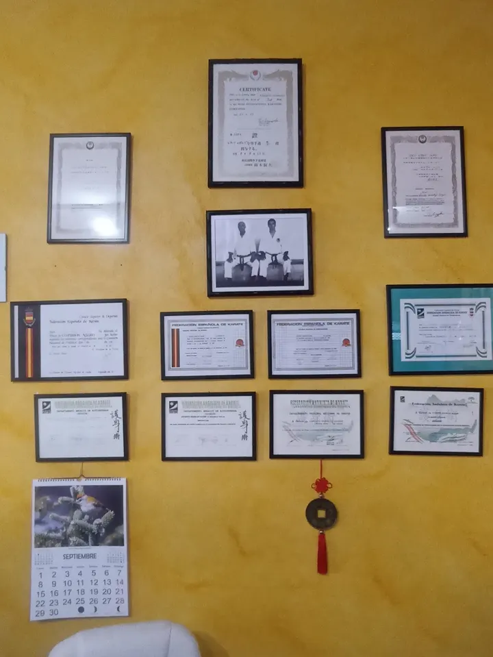 GIMNASIO BASSAI — artes marciales-studio en Los Llanos, Estepona — 3