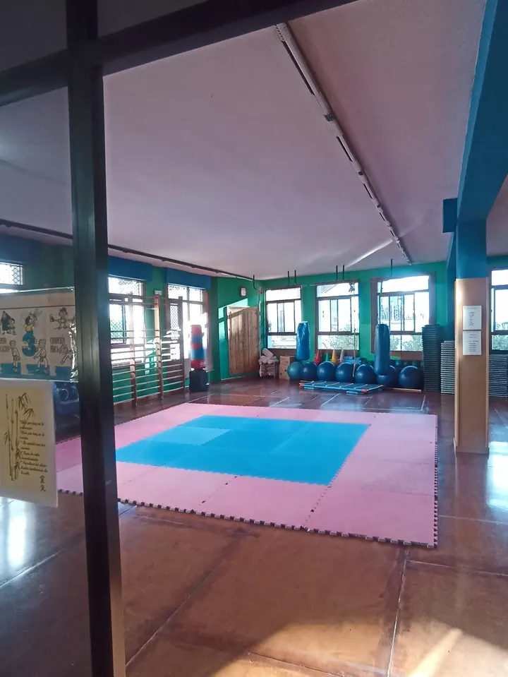 GIMNASIO BASSAI — Artes marciales en Los Llanos, Estepona