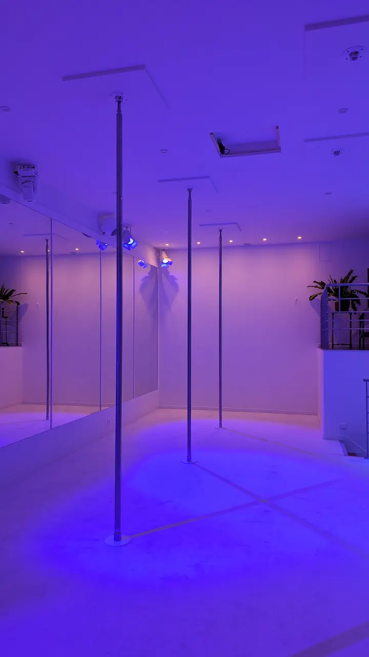 Studio Javanica Pole — pole fitness-studio à Rouen — 5