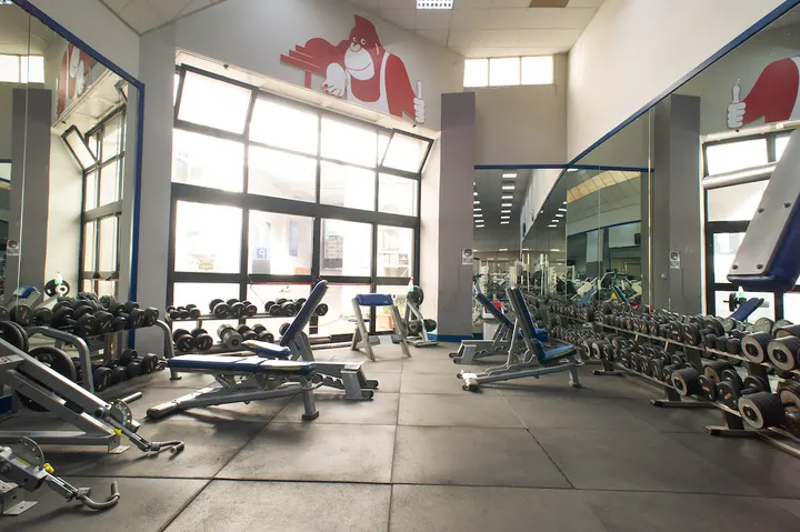 Mister Gym — palestre-studio a Roma — 3