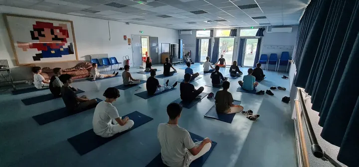Smile Yoga, la Pure Tradition Yogique — yoga-studio à Saint-Raphaël — 5
