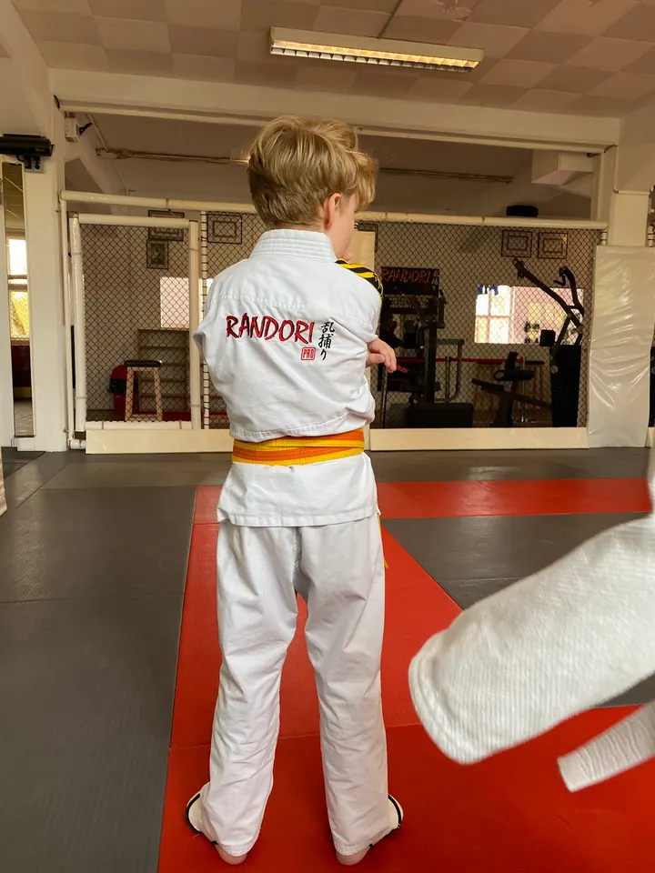 Randori-Pro Spandau — Kampfsport in Spandau, Berlin