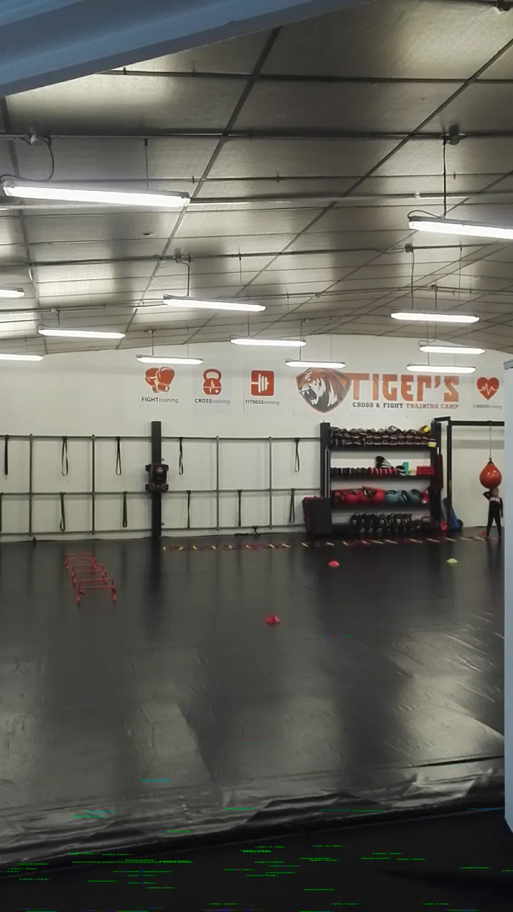 Tiger's Gym Tiger's Dijon — muay-thaï-studio à Saint-Apollinaire — 4