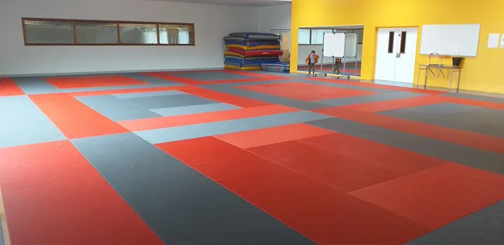 Optimal Ving Tsun Kung Fu — Arts martiaux à Saint-Étienne
