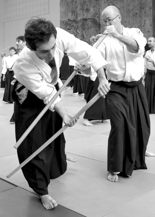 Aikido Central Strasbourg — arts martiaux-studio à Strasbourg — 4
