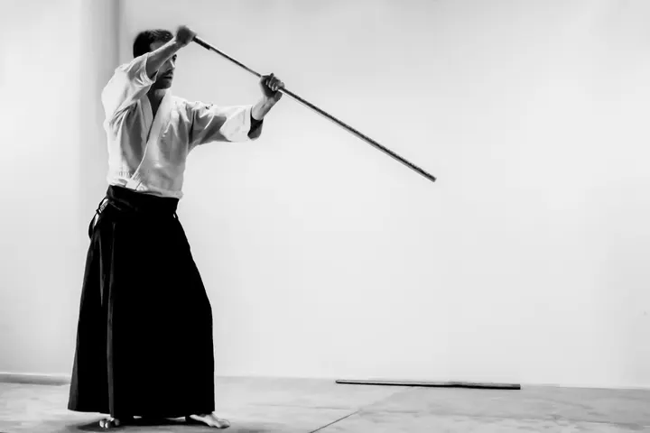 Aikido Central Strasbourg — Arts martiaux à Neudorf-Musau, Strasbourg