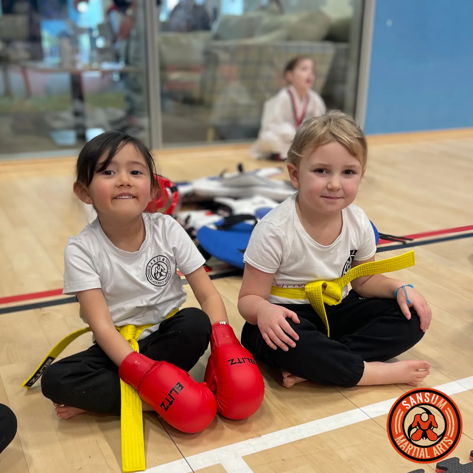 Sansum Martial Arts — martial arts-studio in Elgin — 2